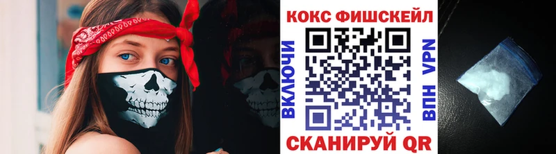 КОКАИН Fish Scale  MEGA ССЫЛКА  Инза 
