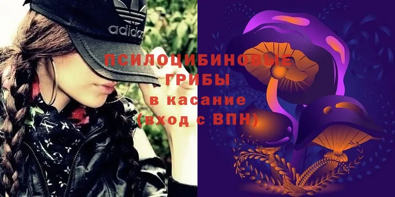 Галлюциногенные грибы Psilocybe  Инза 